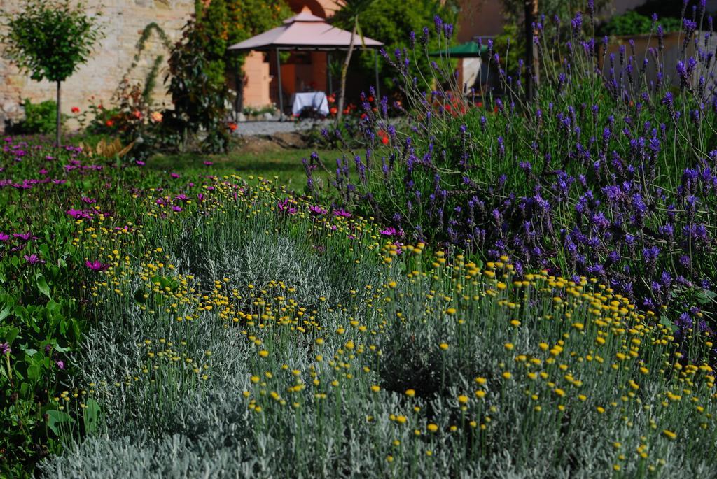 Agriturismo Coppi Rossi Torrazza  Kültér fotó
