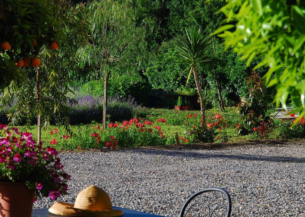 Agriturismo Coppi Rossi Torrazza  Kültér fotó