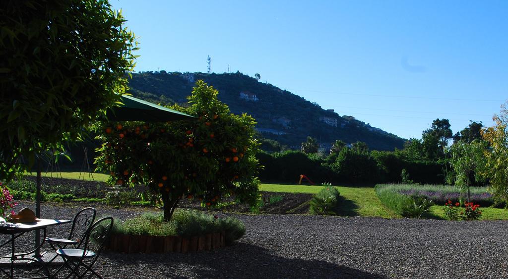 Agriturismo Coppi Rossi Torrazza  Kültér fotó
